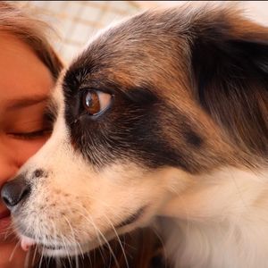 Meet your Posher, Louise